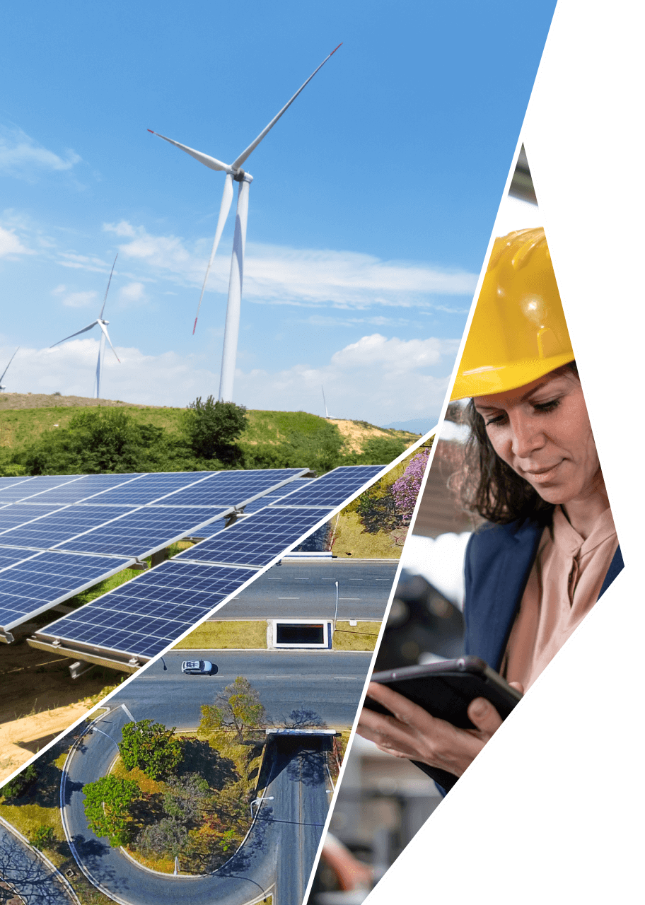 Solar Panel, Womam and Trees