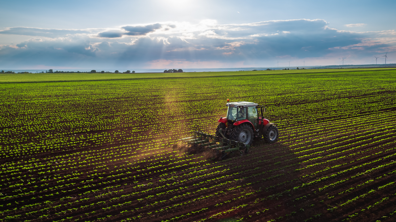 Tractor cultivating field at spring